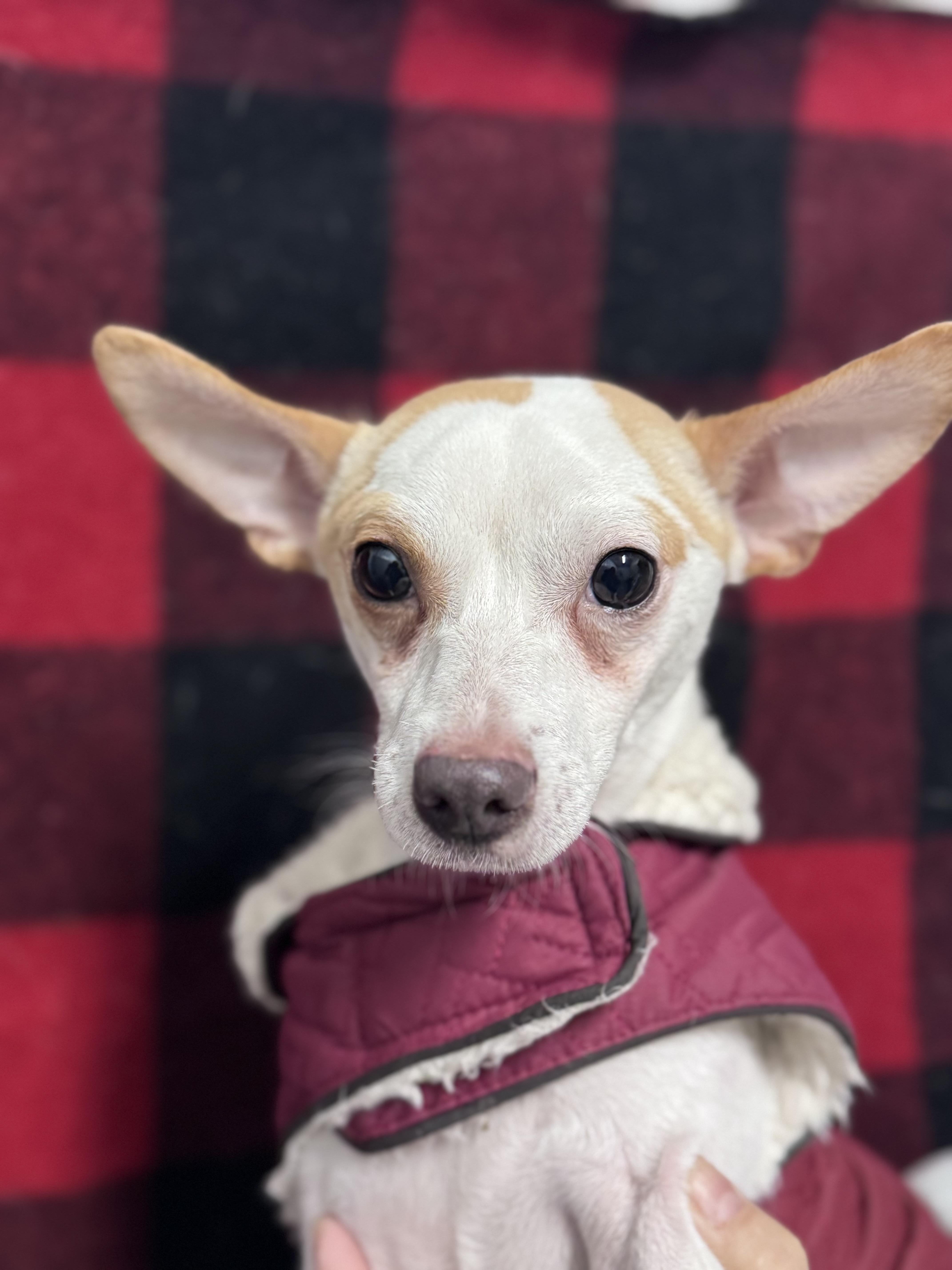 Little Bit thumbnail 2