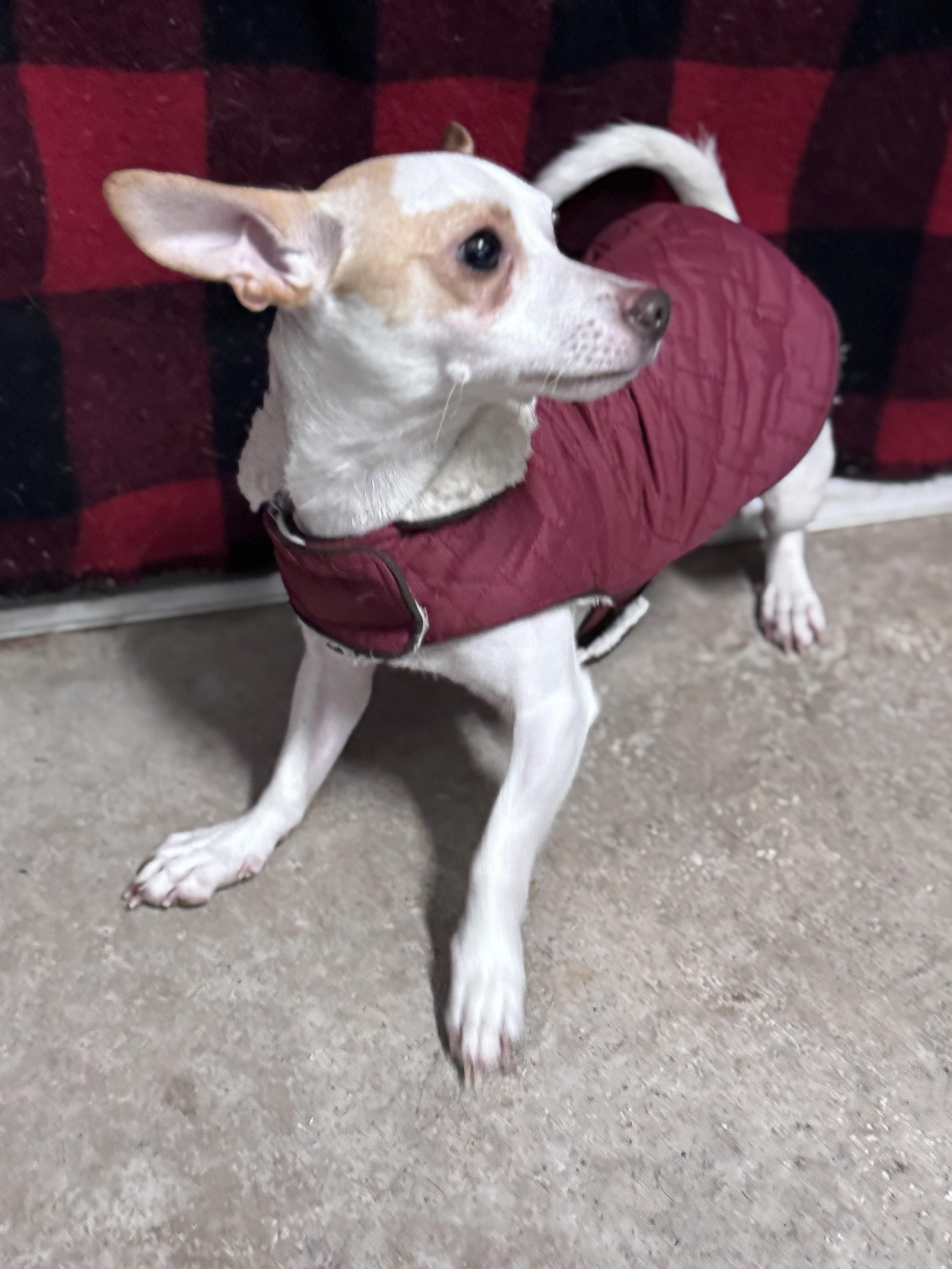 Little Bit thumbnail 4