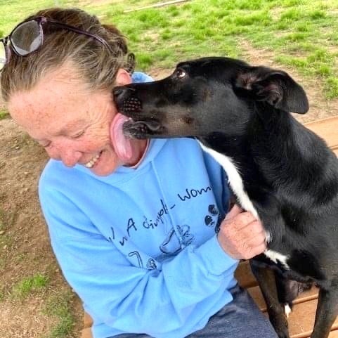 Enlarge Iris, a Adoptable mixed breed in Southaven , MS image 2/6