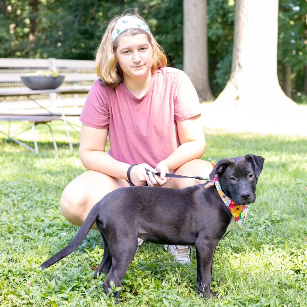 Enlarge Dolly (Female), a Adoptable mixed breed in West Grove, PA image 6/6