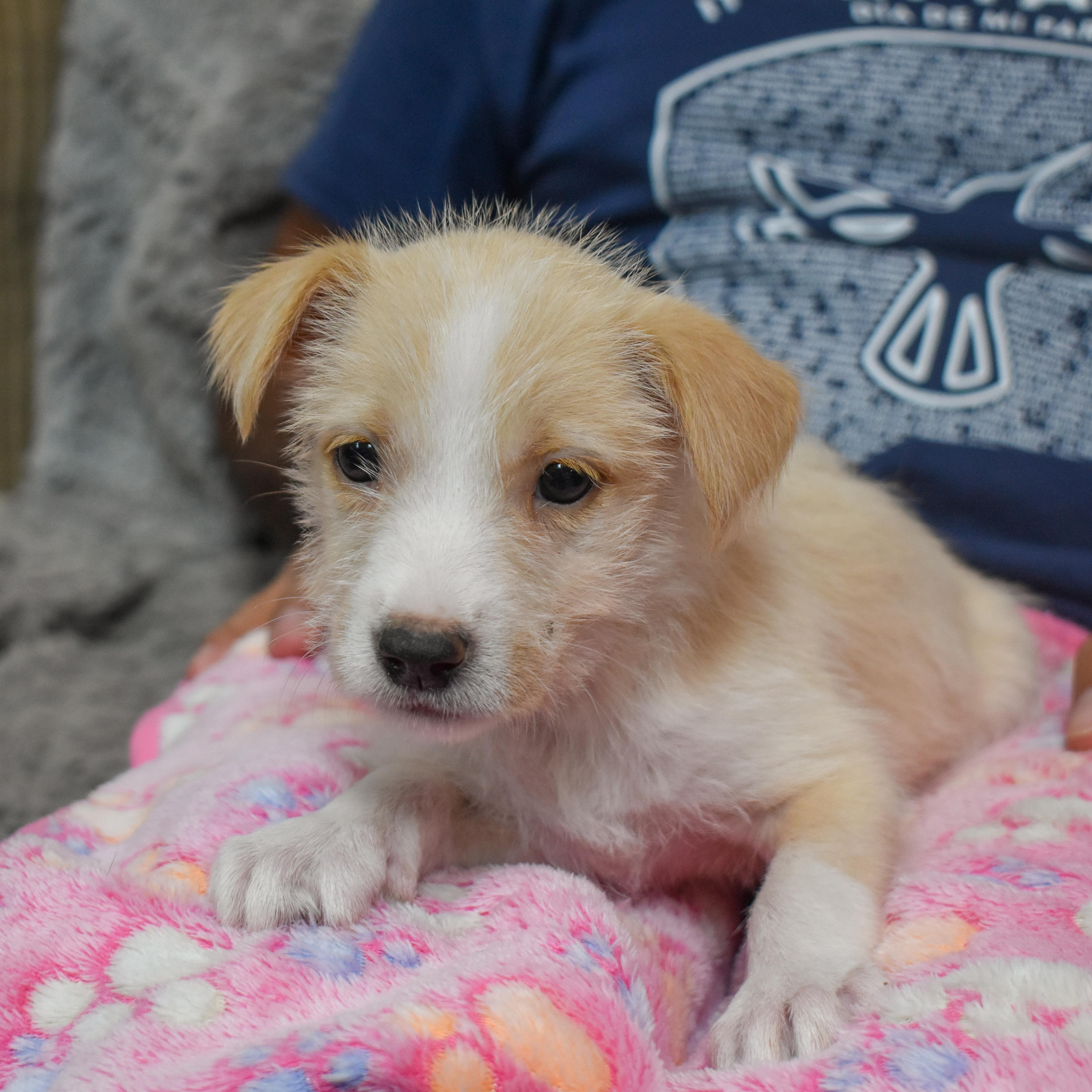 Barbie — thumbnail 5