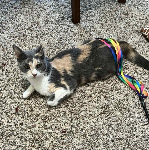 Penelope