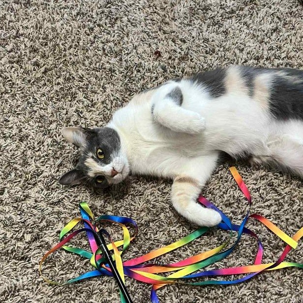 Penelope