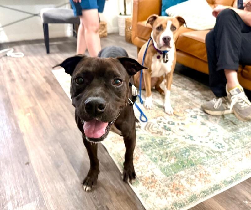 Marty brings the cuddle party — thumbnail 3