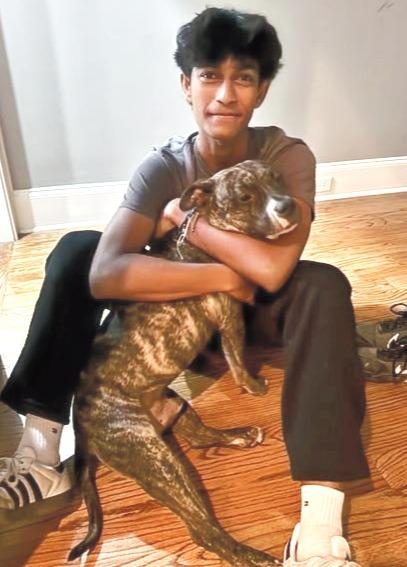 Ben Ten, a Adoptable mixed breed in Hartsville, SC image 4/5