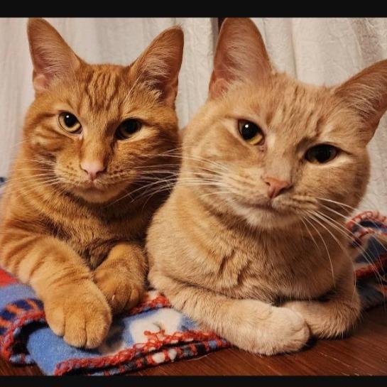 Princess Peach — thumbnail 2