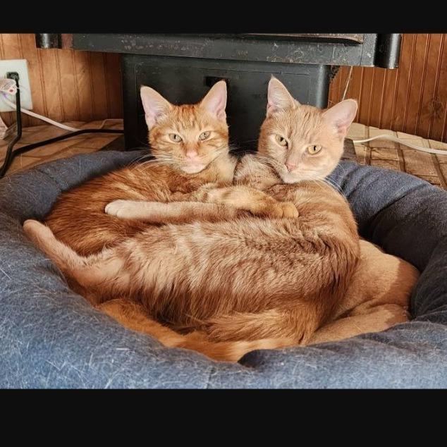 Princess Peach — thumbnail 3