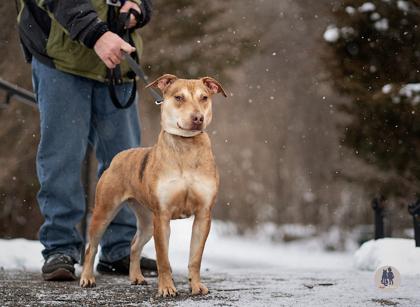 Suzi Pp W Annie thumbnail 2