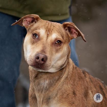 Suzi Pp W Annie thumbnail 3