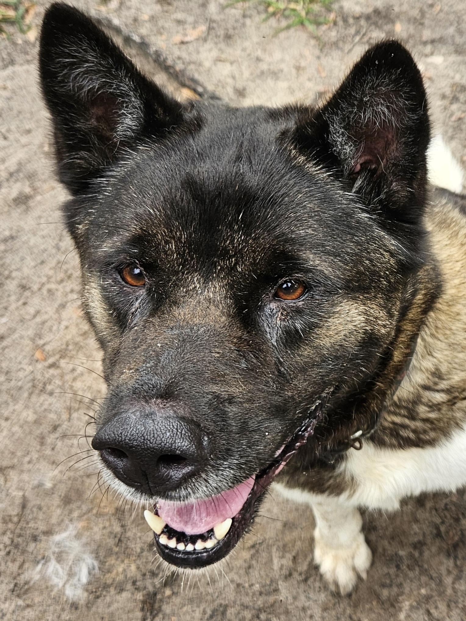 Ty, Senior Male unknown