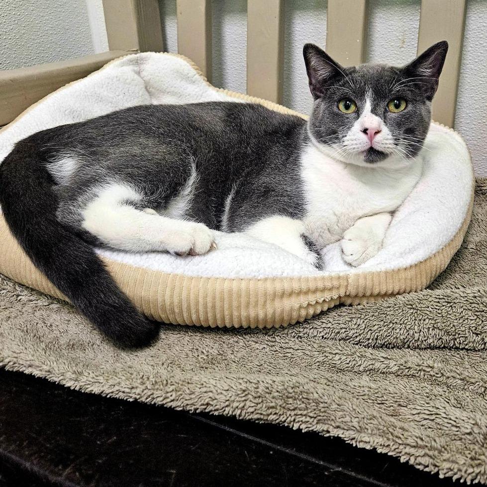 Mister Ralph — thumbnail 3