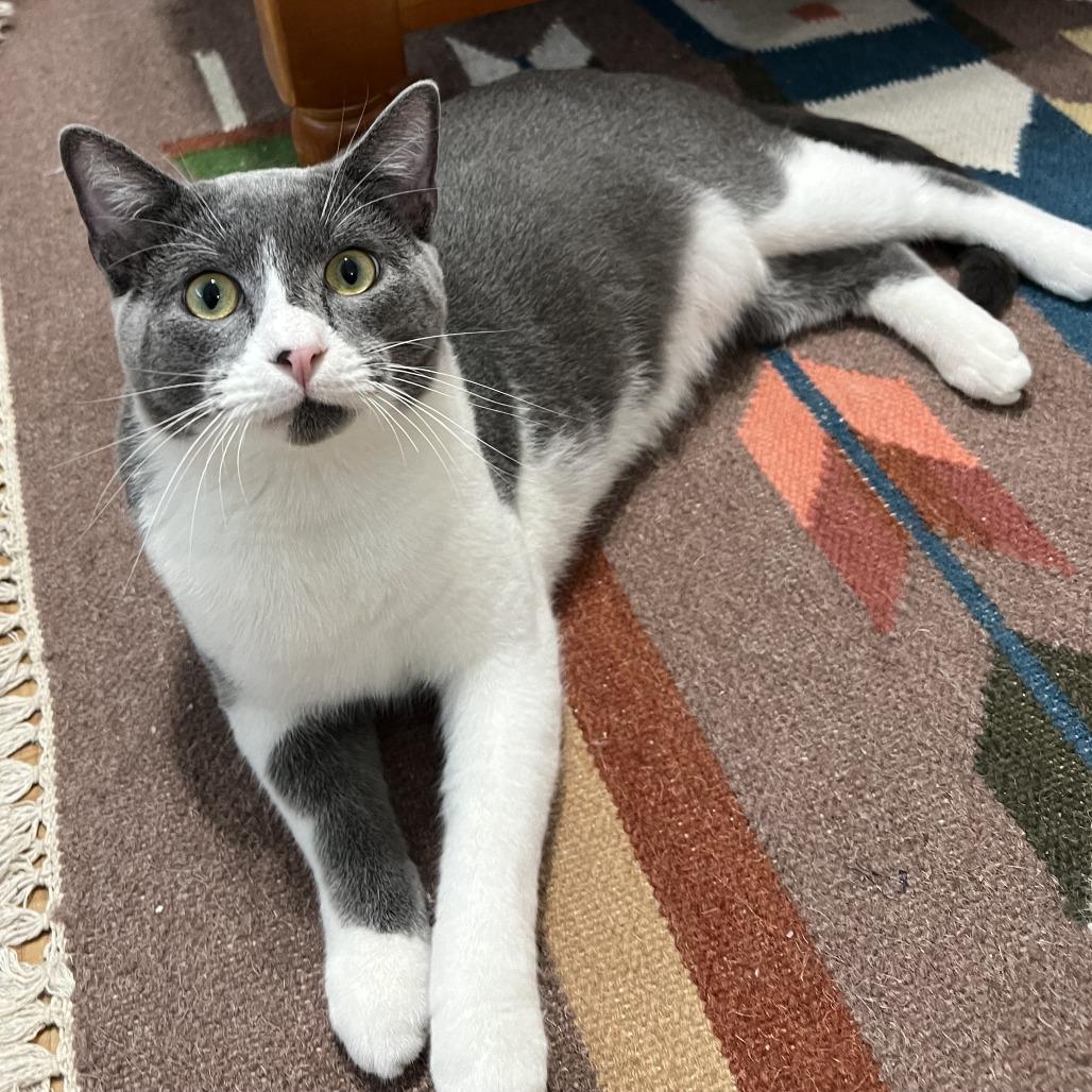 Mister Ralph — thumbnail 4