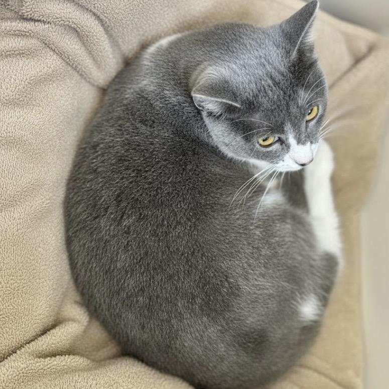 Mister Ralph — thumbnail 5