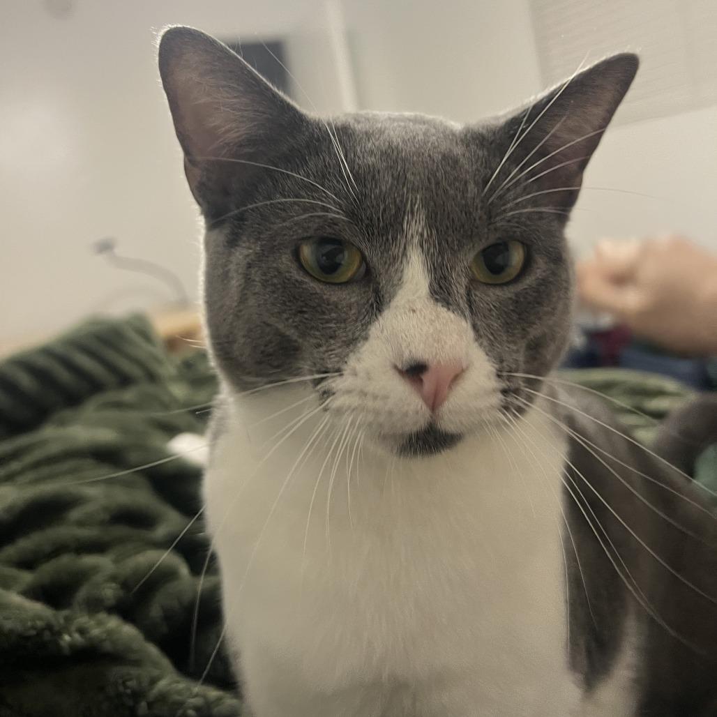 Mister Ralph — thumbnail 6