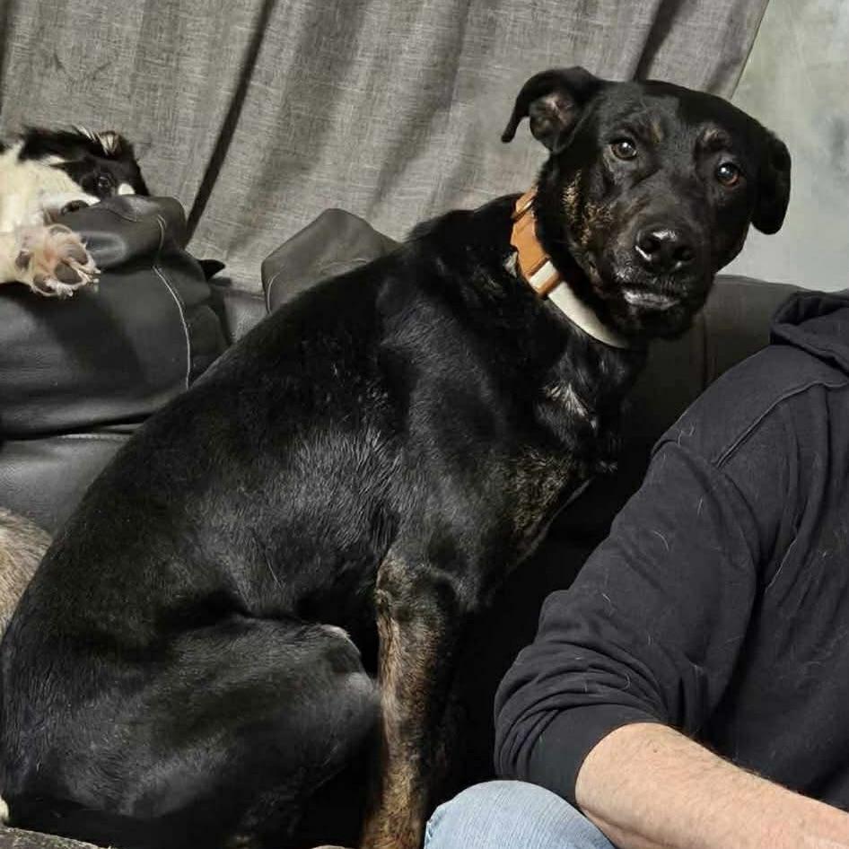 Ranchero (20260306-03) — thumbnail 2