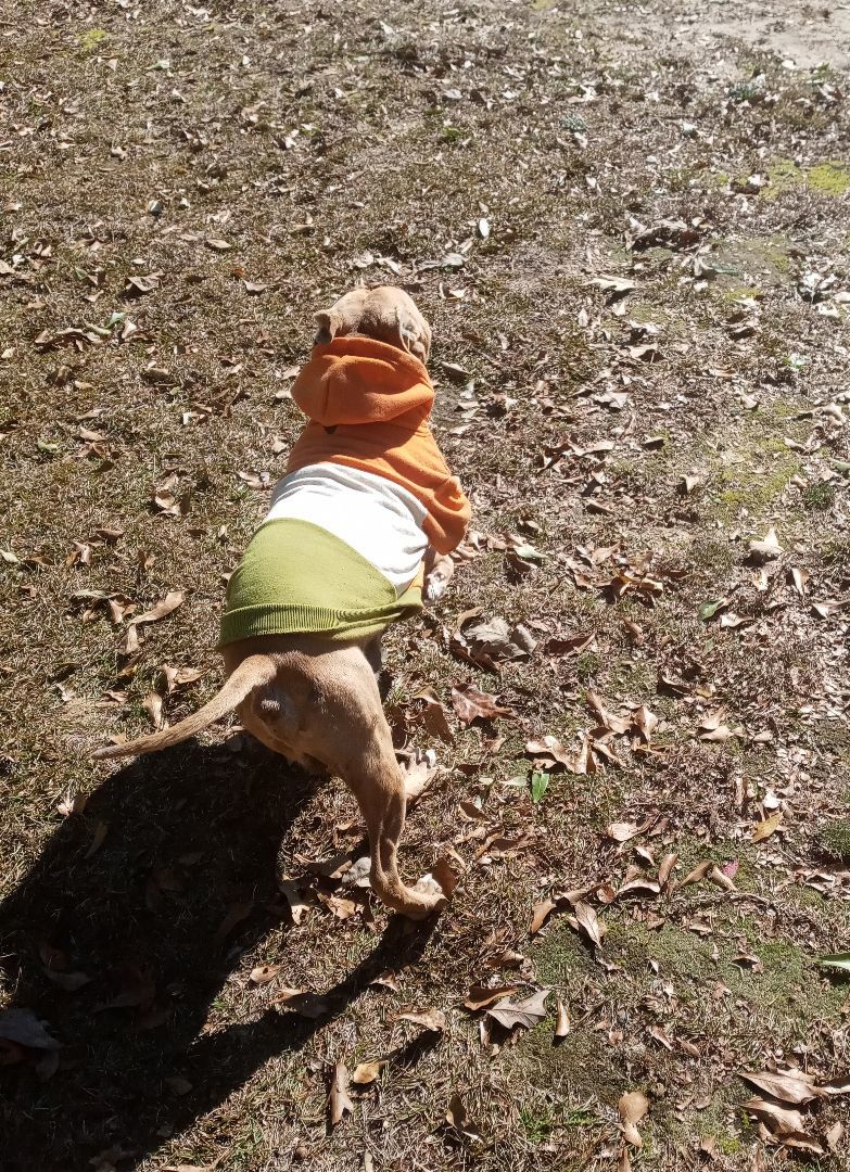 Buster photo 2
