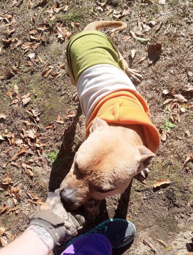 Buster photo 3