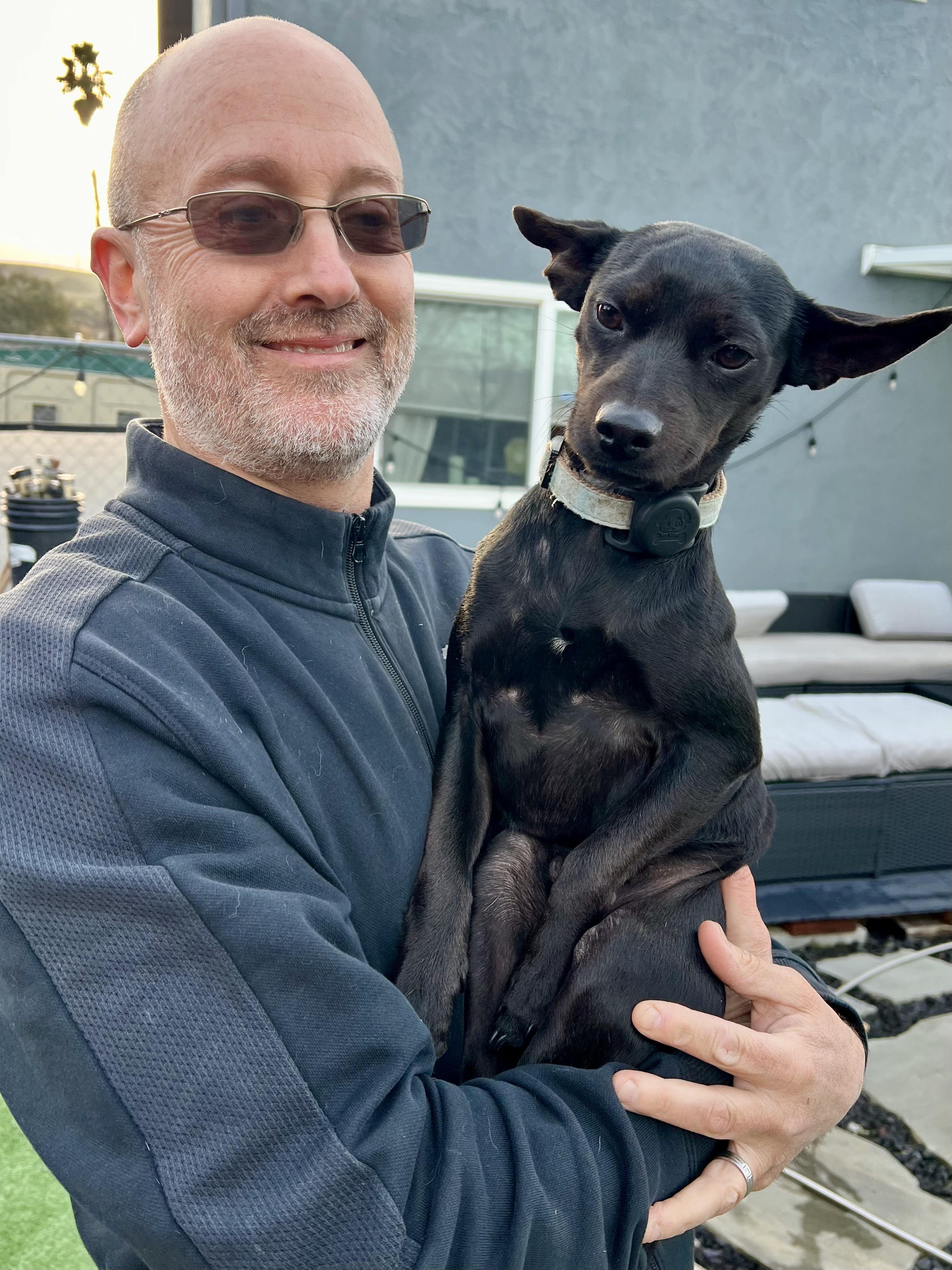 Max, an adoptable Terrier, Chiweenie in san ramon, CA, 94583 | Photo Image 4