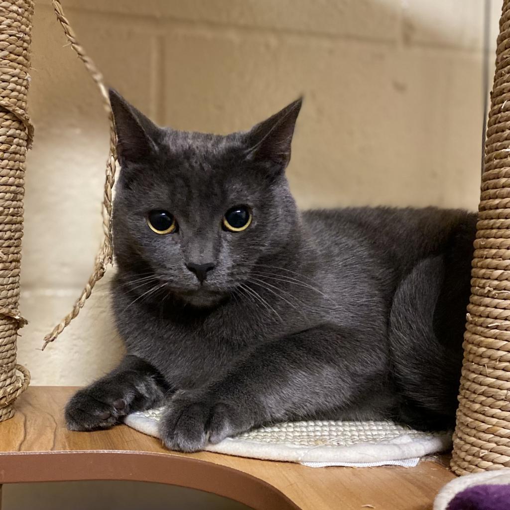 Stitch — thumbnail 4