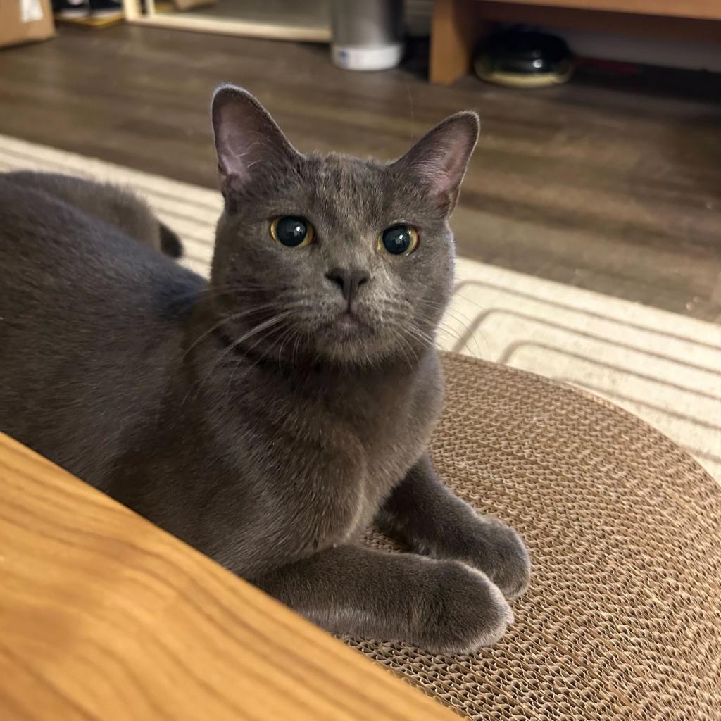 Stitch — thumbnail 5