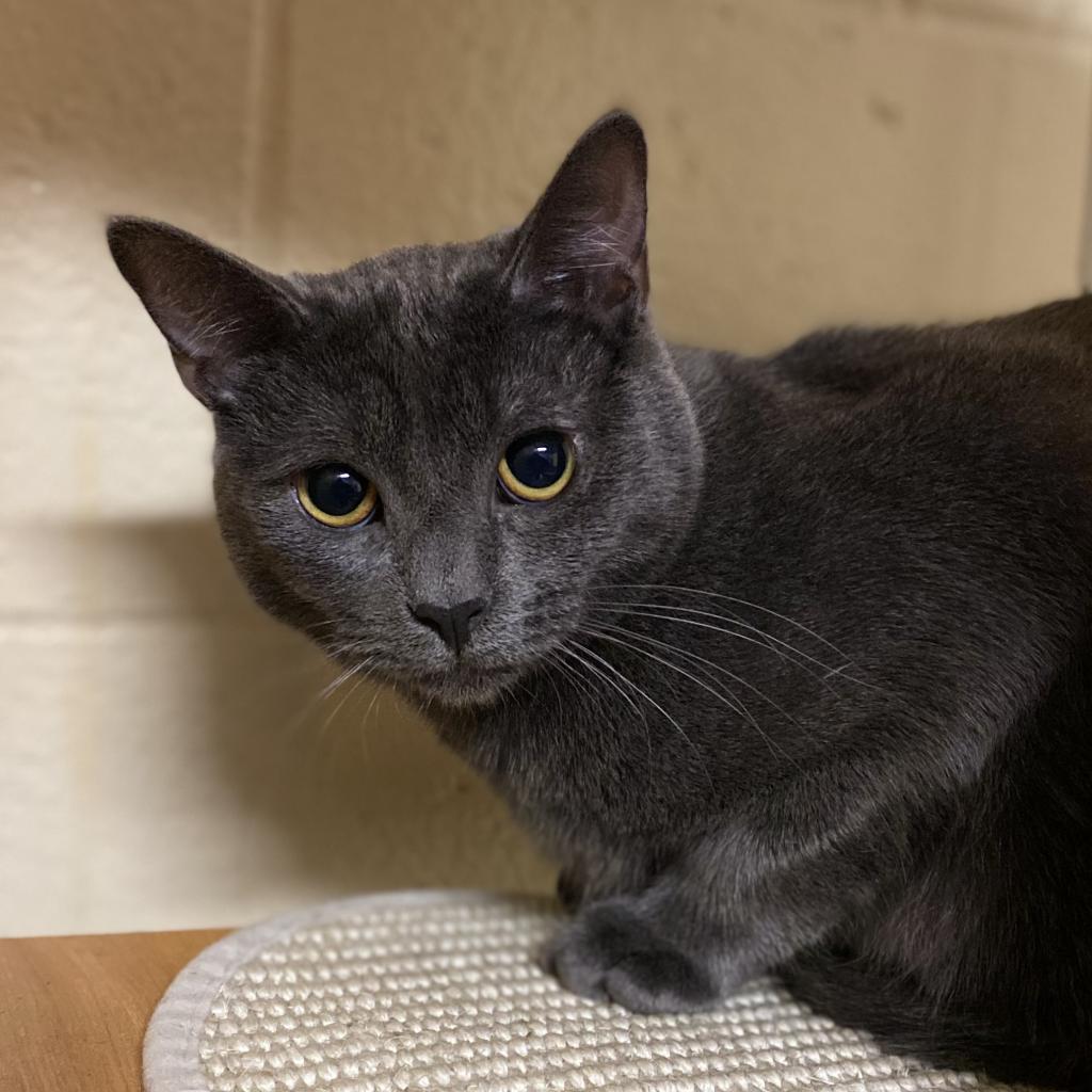 Stitch — thumbnail 6