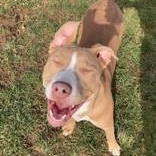 Spudette thumbnail 2