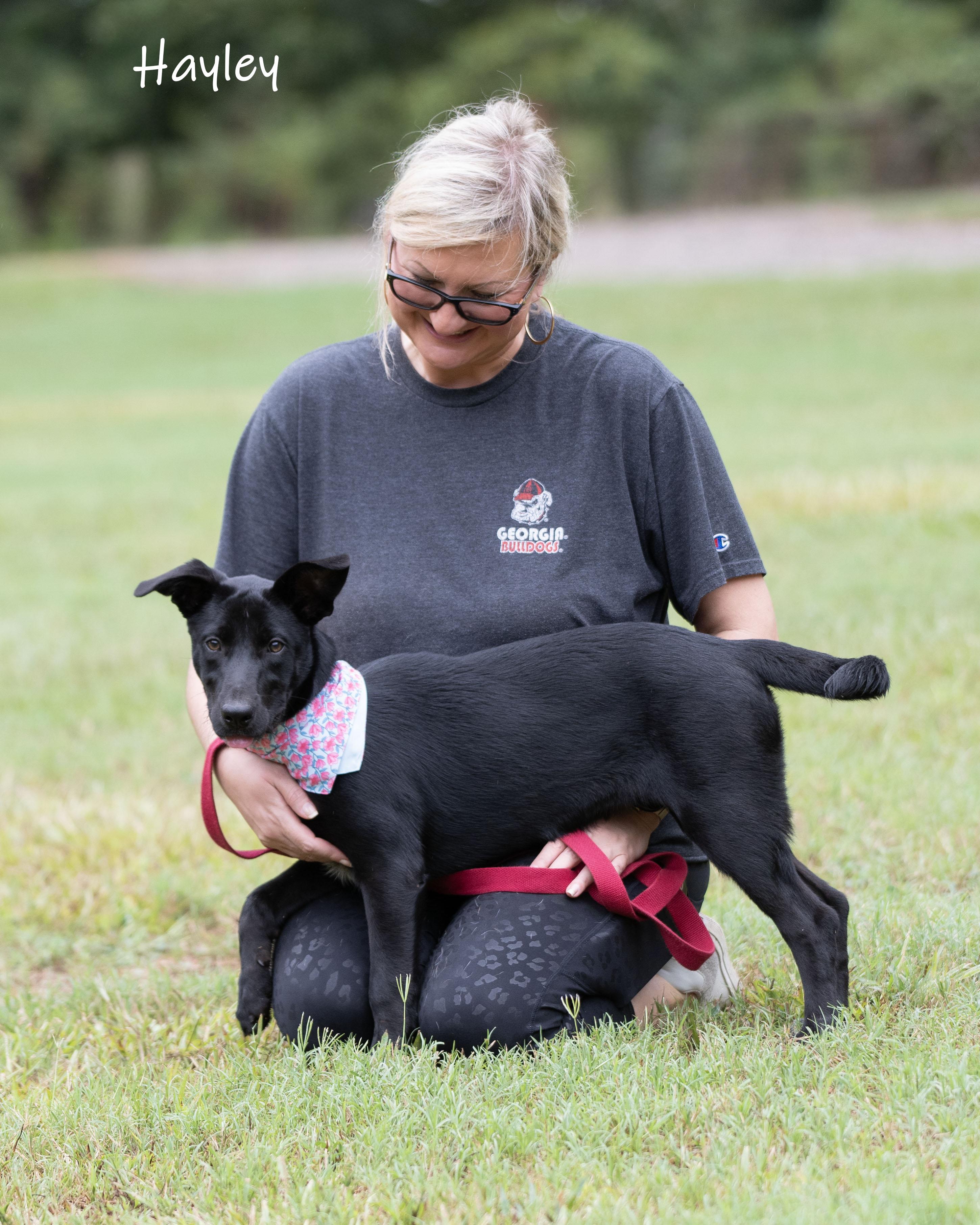 Enlarge Hayley, a Adoptable mixed breed in Bishop, GA image 6/6