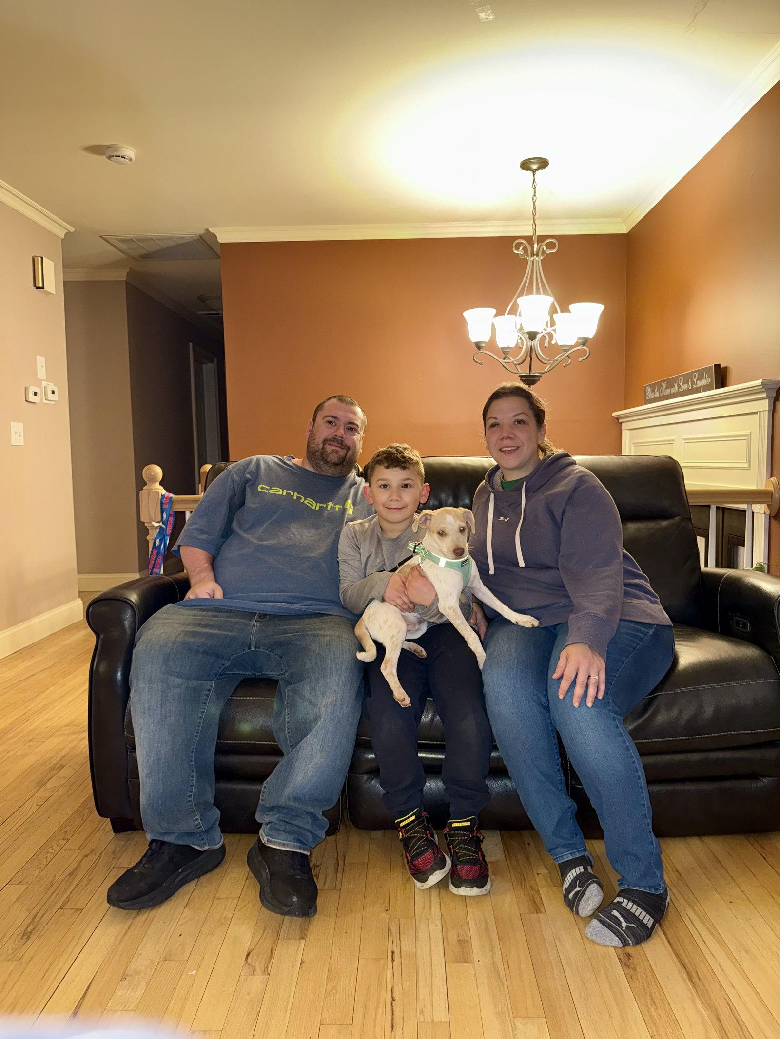 Enlarge Heather's Cashew TX, a Adopted mixed breed in Boonton, NJ image 3/3