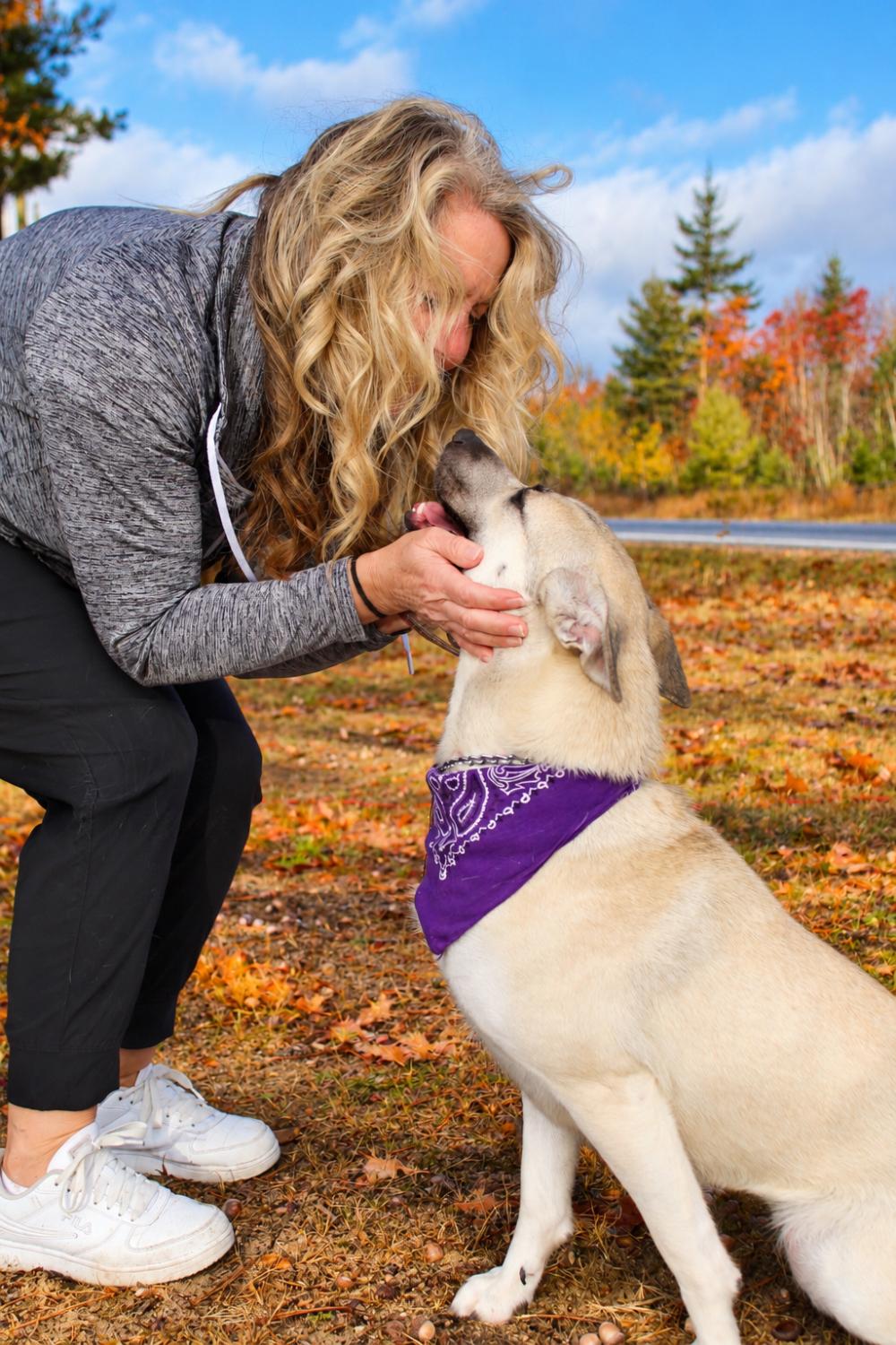 Enlarge Lana, a Adoptable Mixed Breed in Cheboygan, MI image 5/6