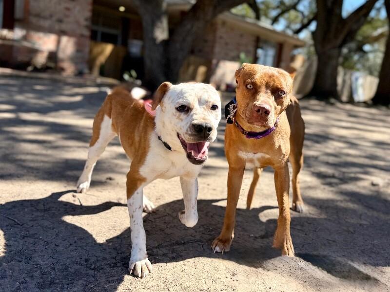 Pippi Longstocking Pocket Sparkle — thumbnail 3