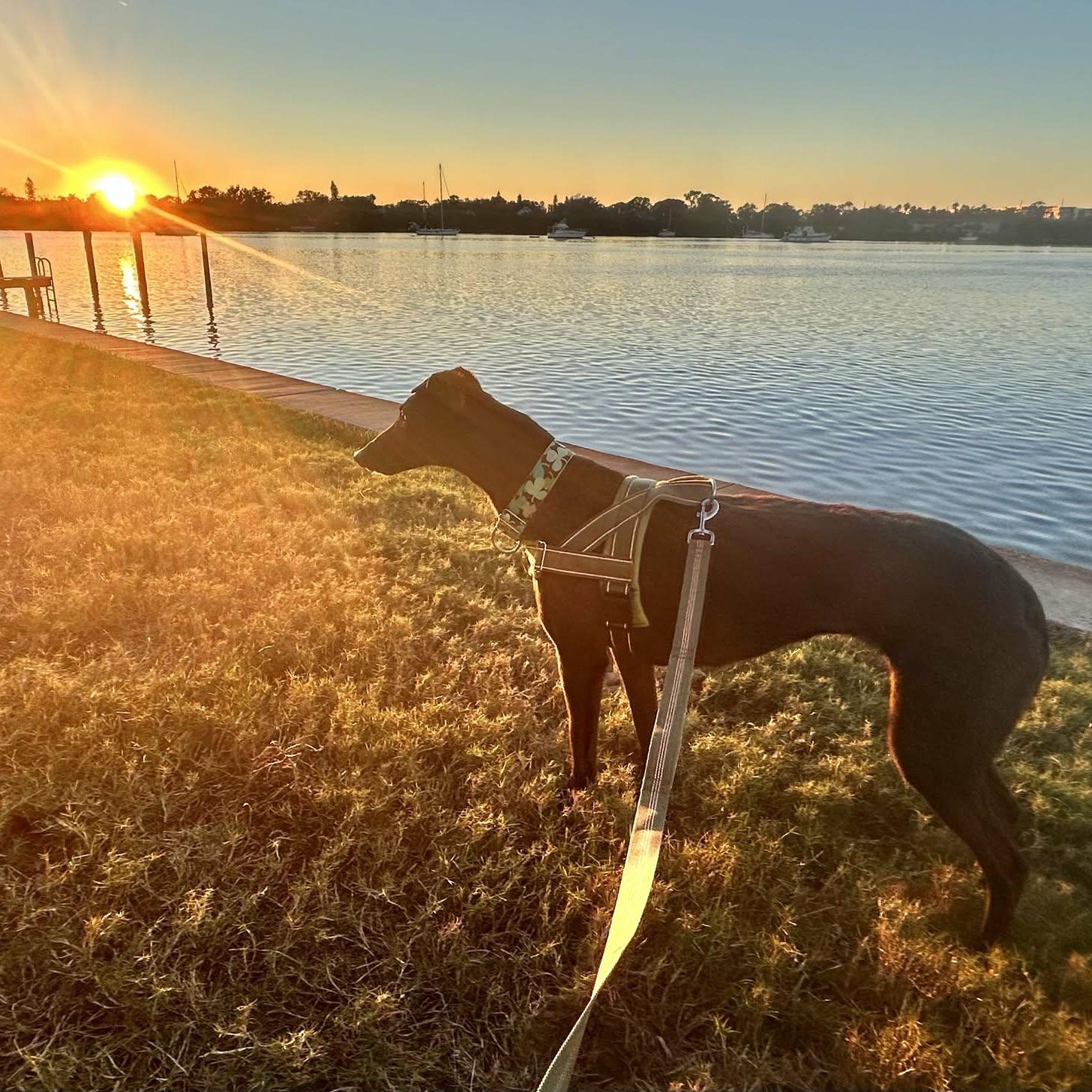 Savana Raquel thumbnail 2