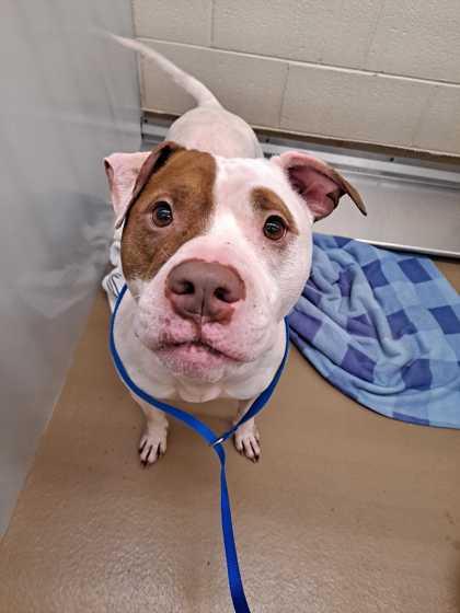 Clue — thumbnail 3