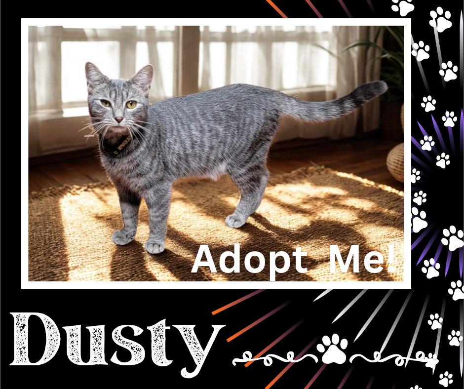 Dusty photo