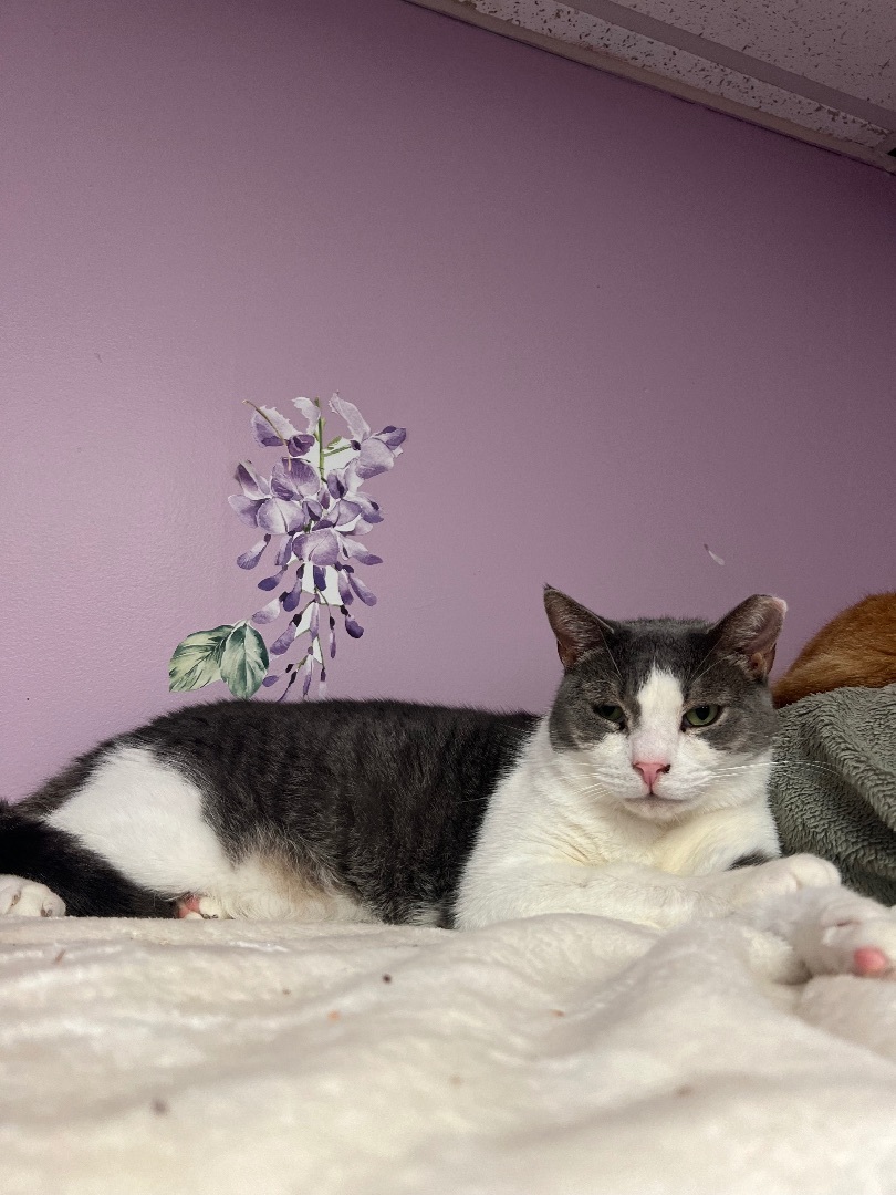 Gracie and George  photo 2