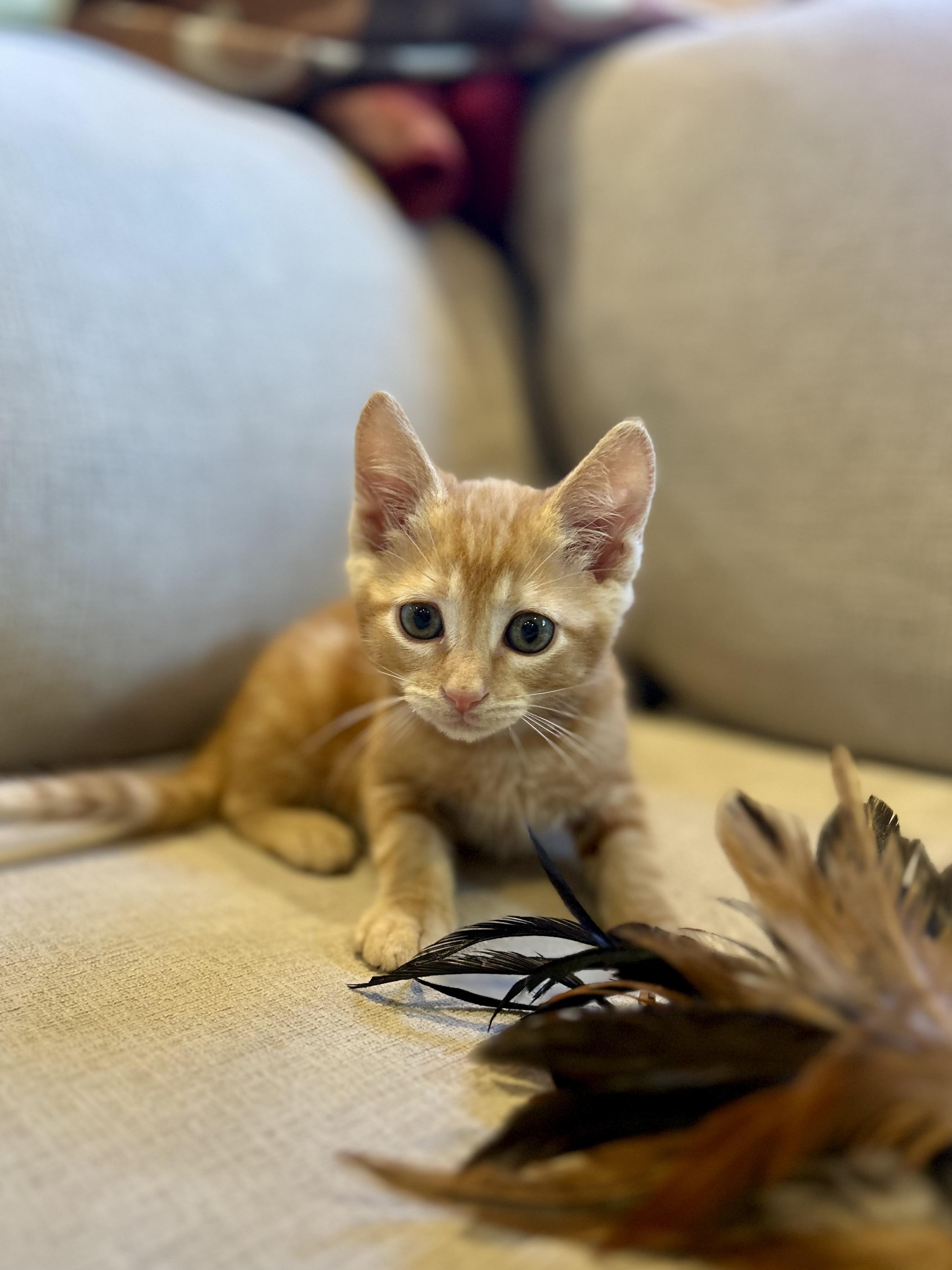 Turk & Coco (fun / sweet / loving)