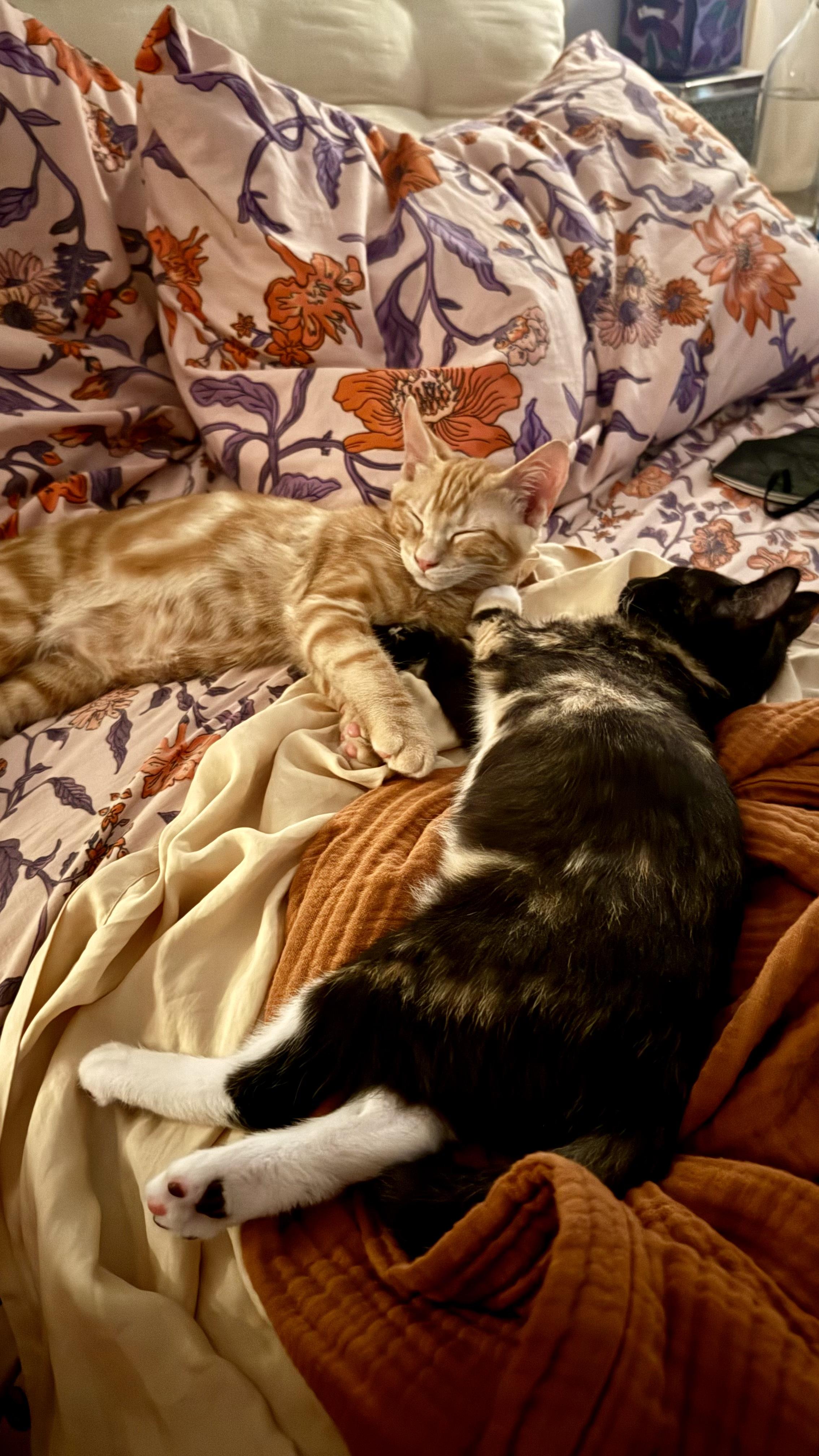 Turk & Coco (fun / sweet / loving)