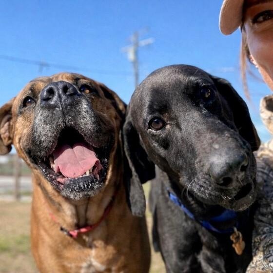 Rosie Posey Belly Rubs Please — thumbnail 5