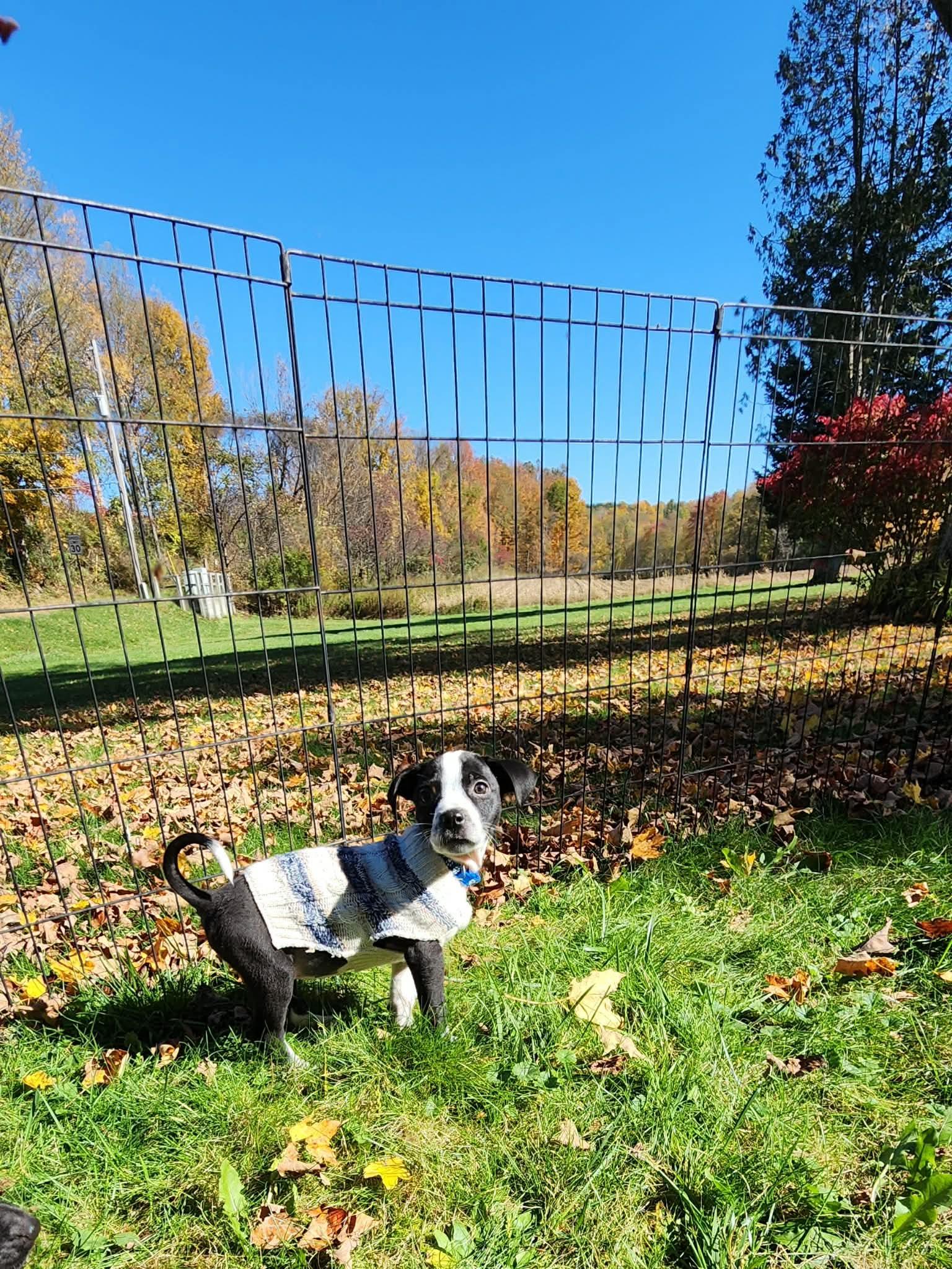 Casper photo