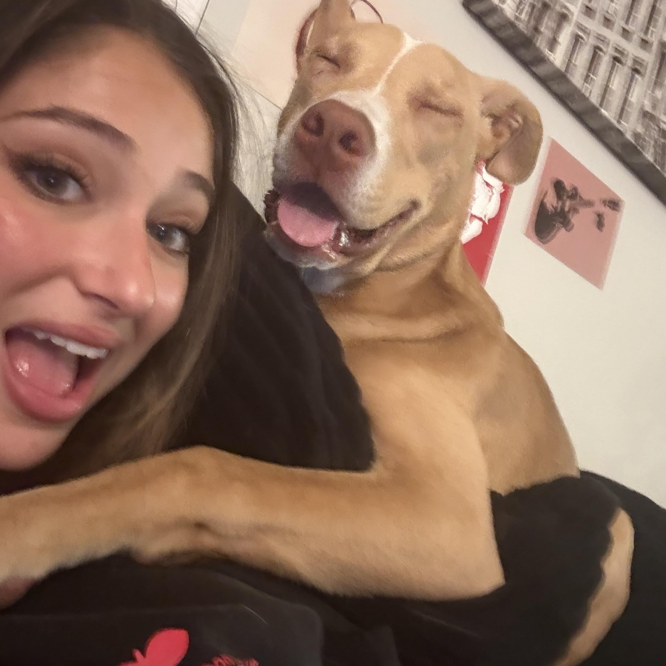 Enlarge Rory, a ADOPTABLE mixed breed in North Hollywood, CA image 3/6