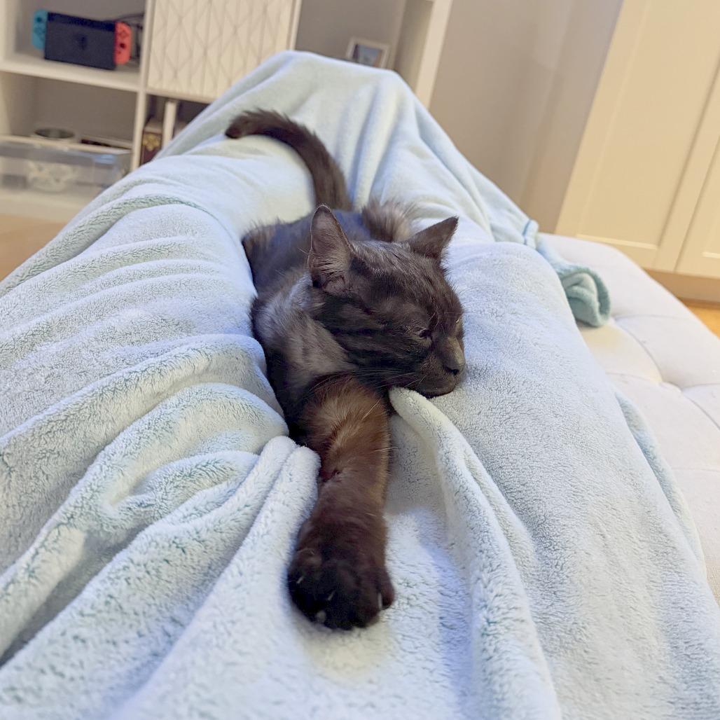 Andy — thumbnail 6