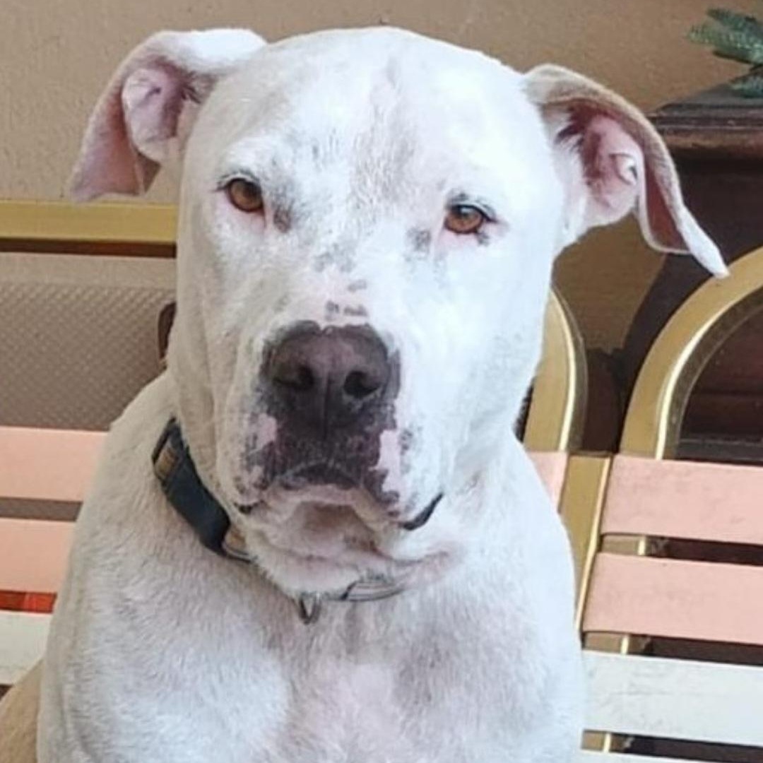 Yara "a Loving Beauty!"