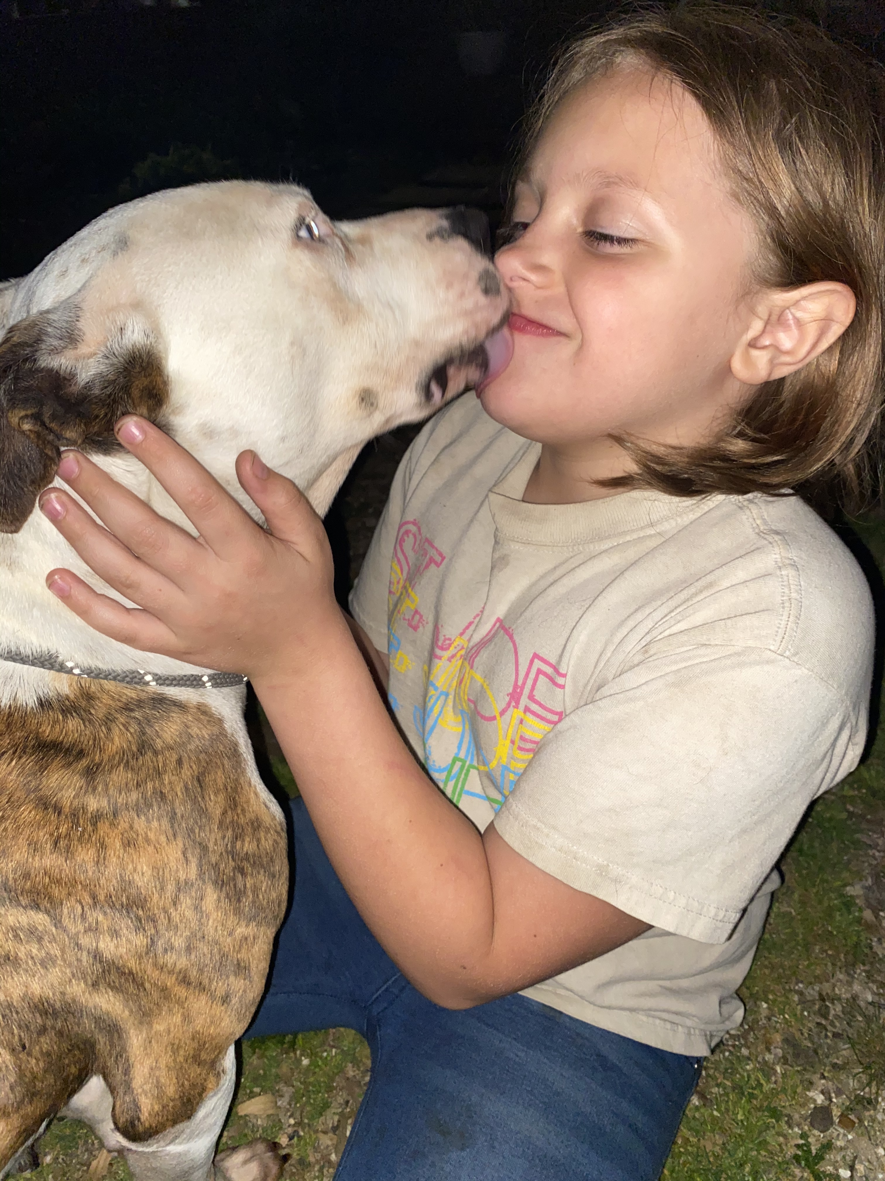 Jasmine aka “Jazzy” , a Adoptable mixed breed in Greenfield, TN image 2/12