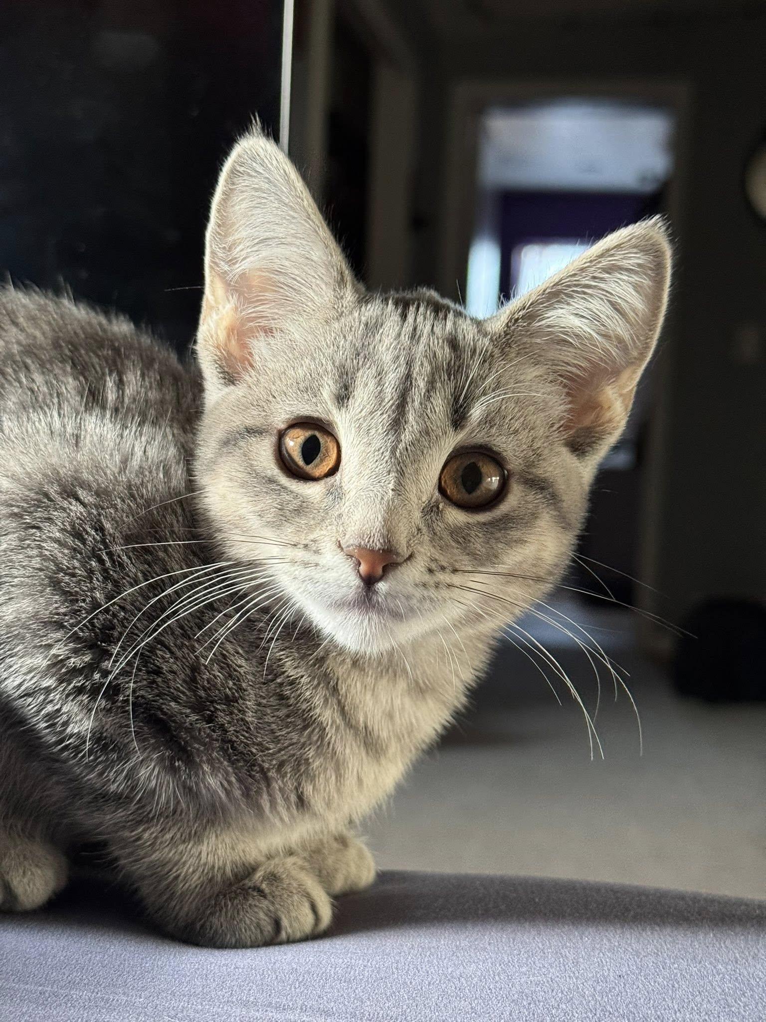 Sophie