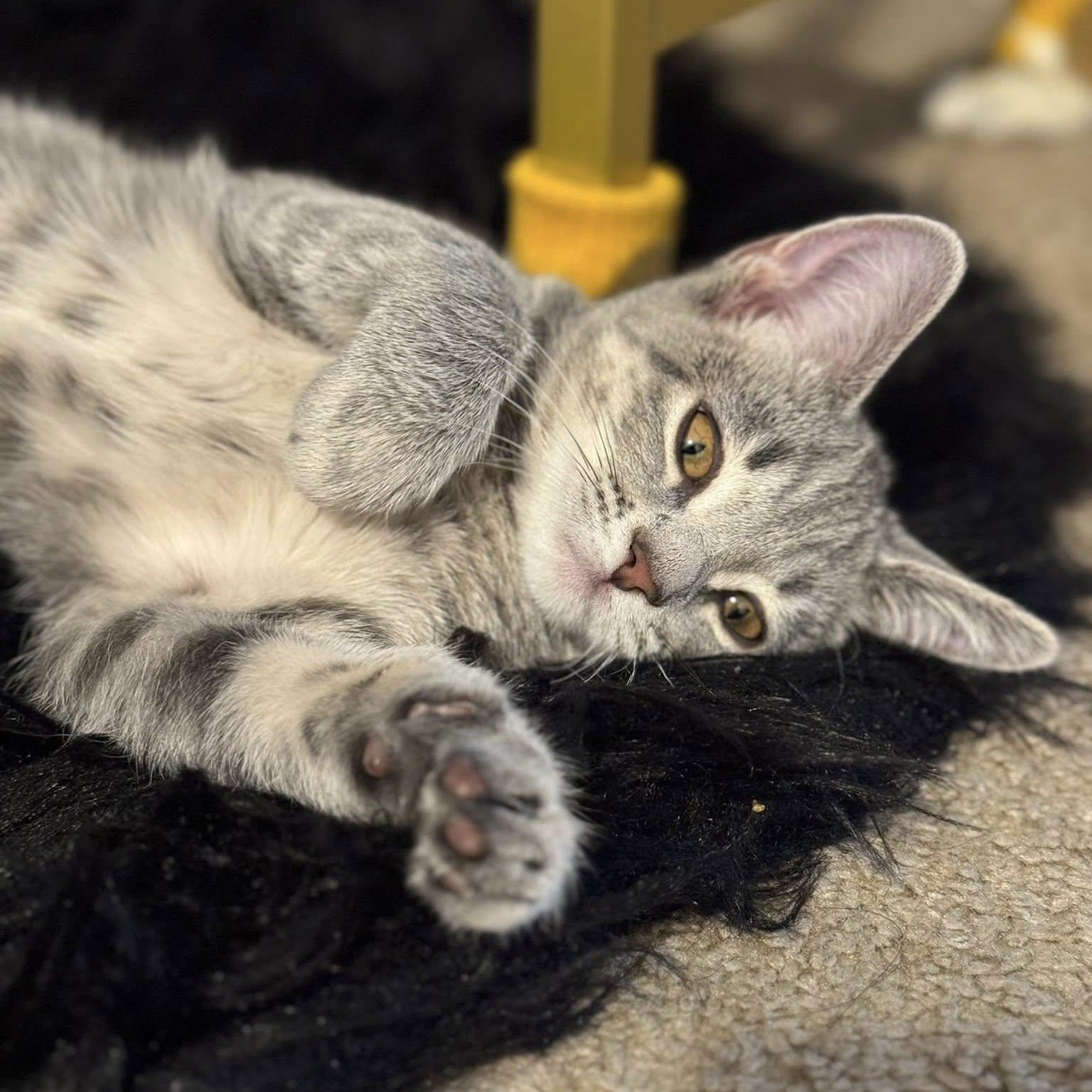 Sophie