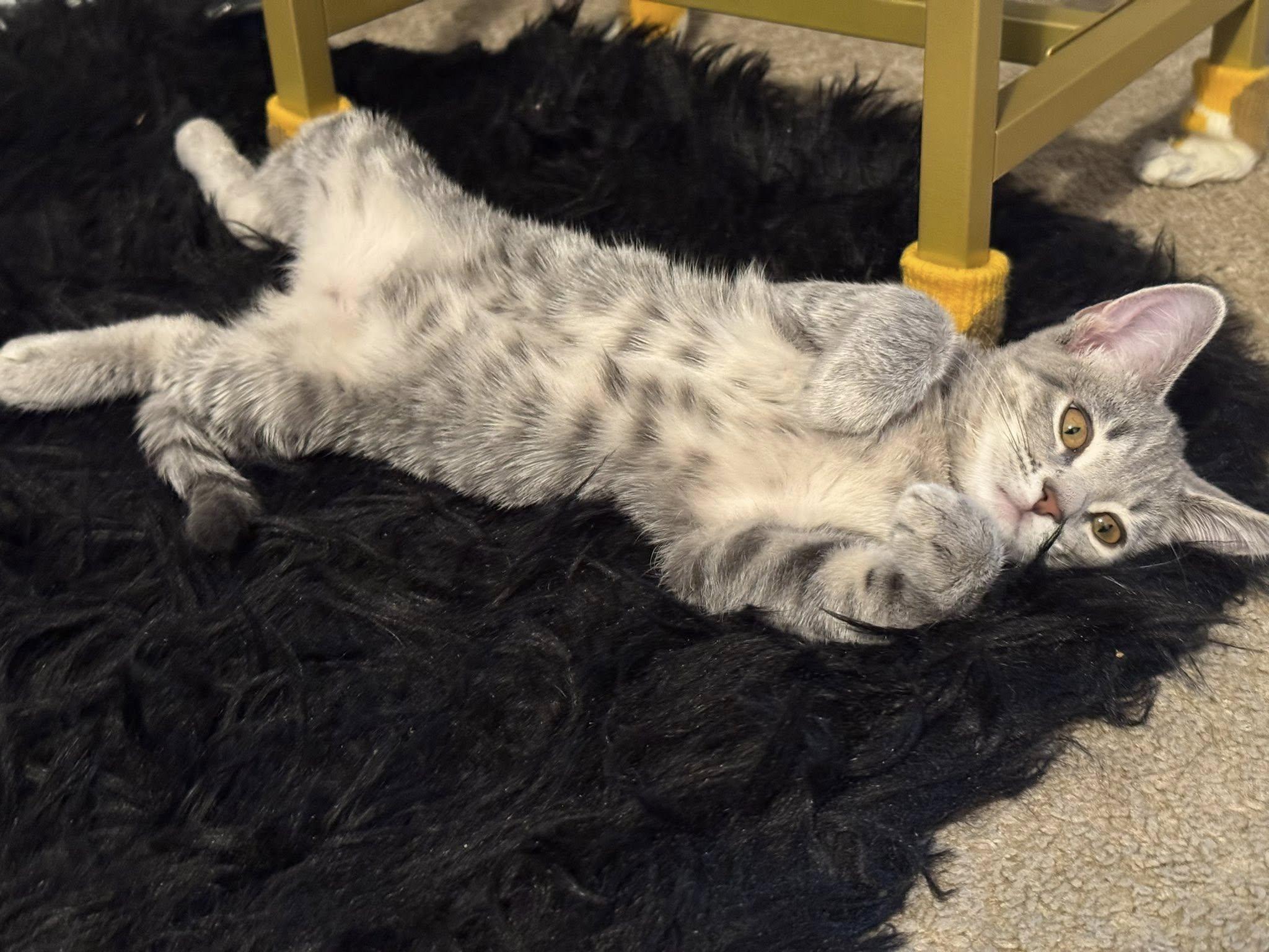 Sophie
