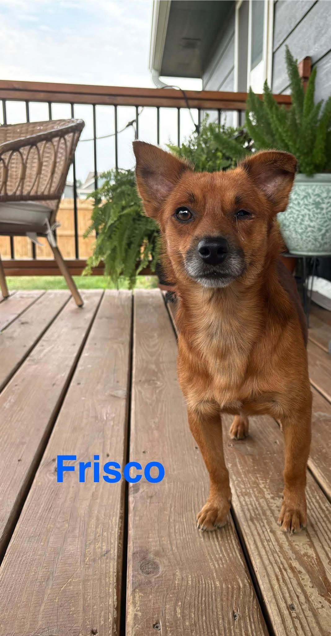 Frisco