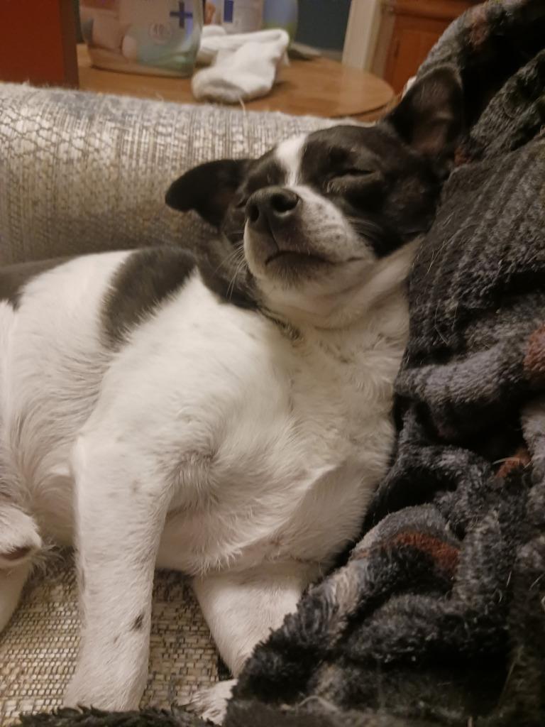 Charlie