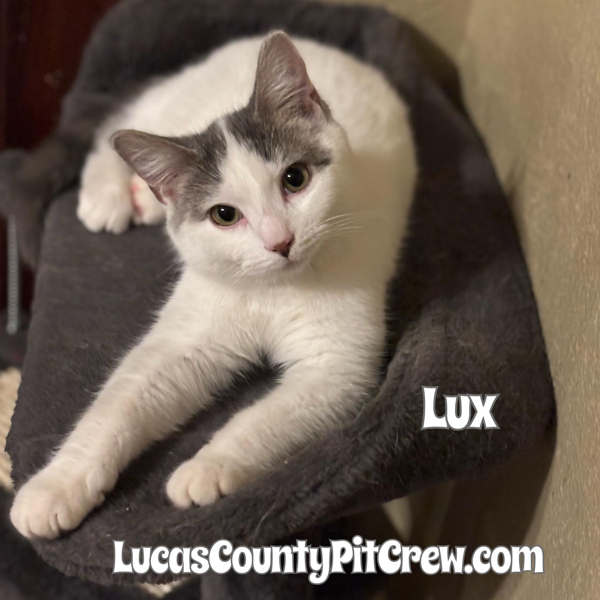 Lux