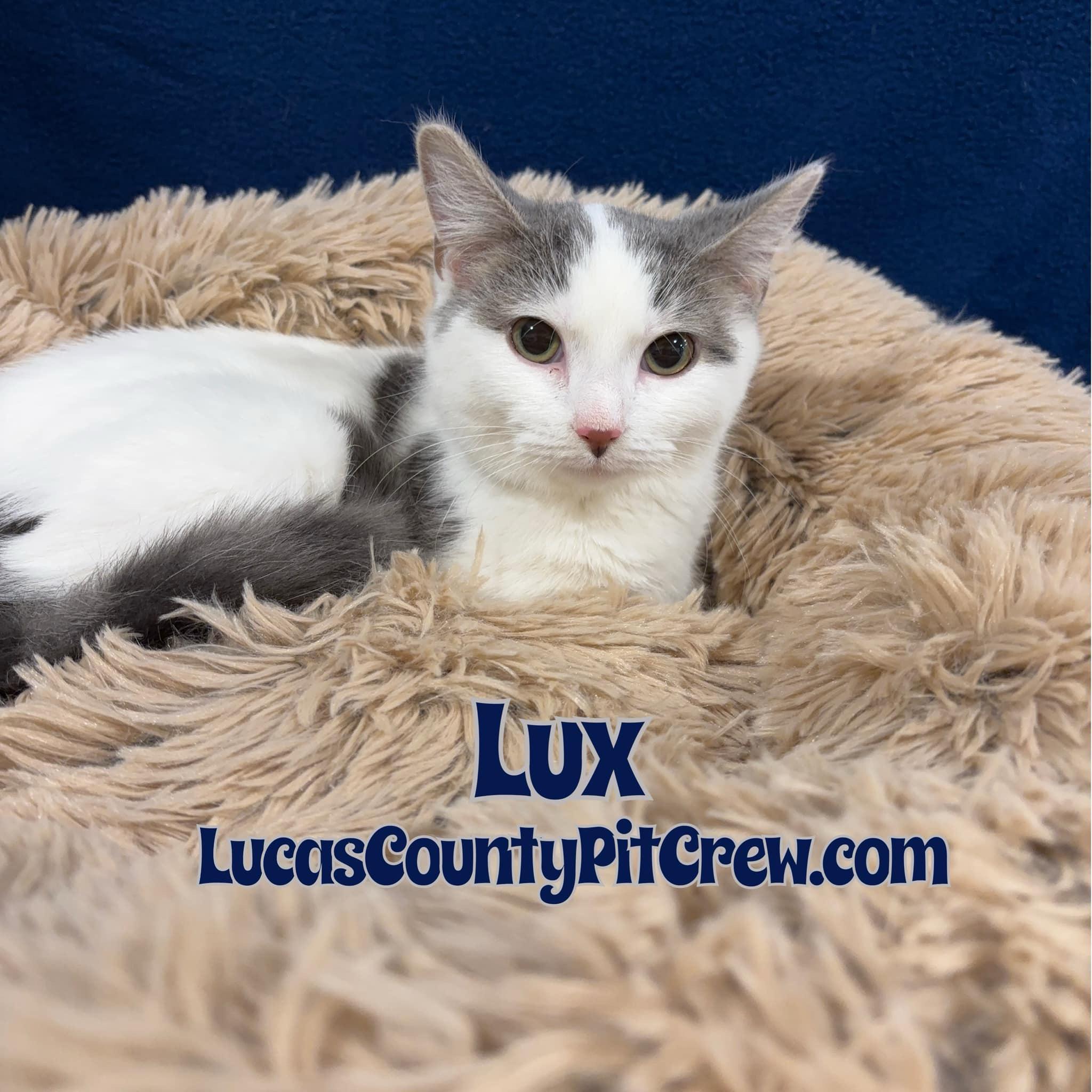 Lux photo 2