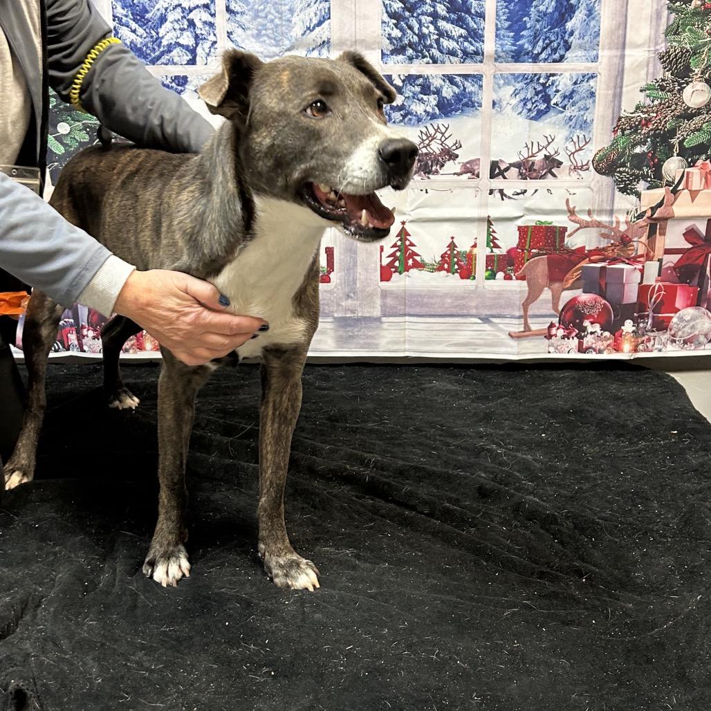 Parfait 2004 — thumbnail 2